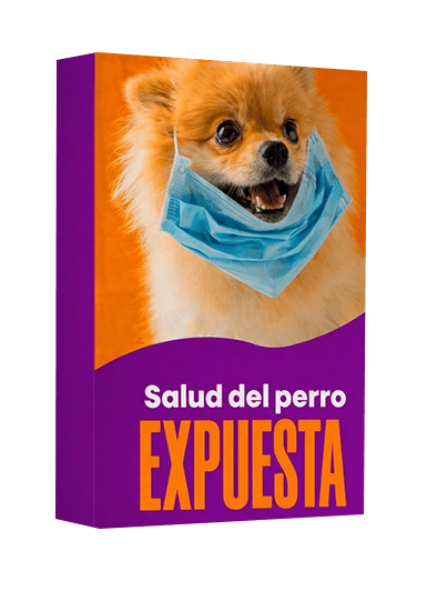 La salud del perro al descubierto