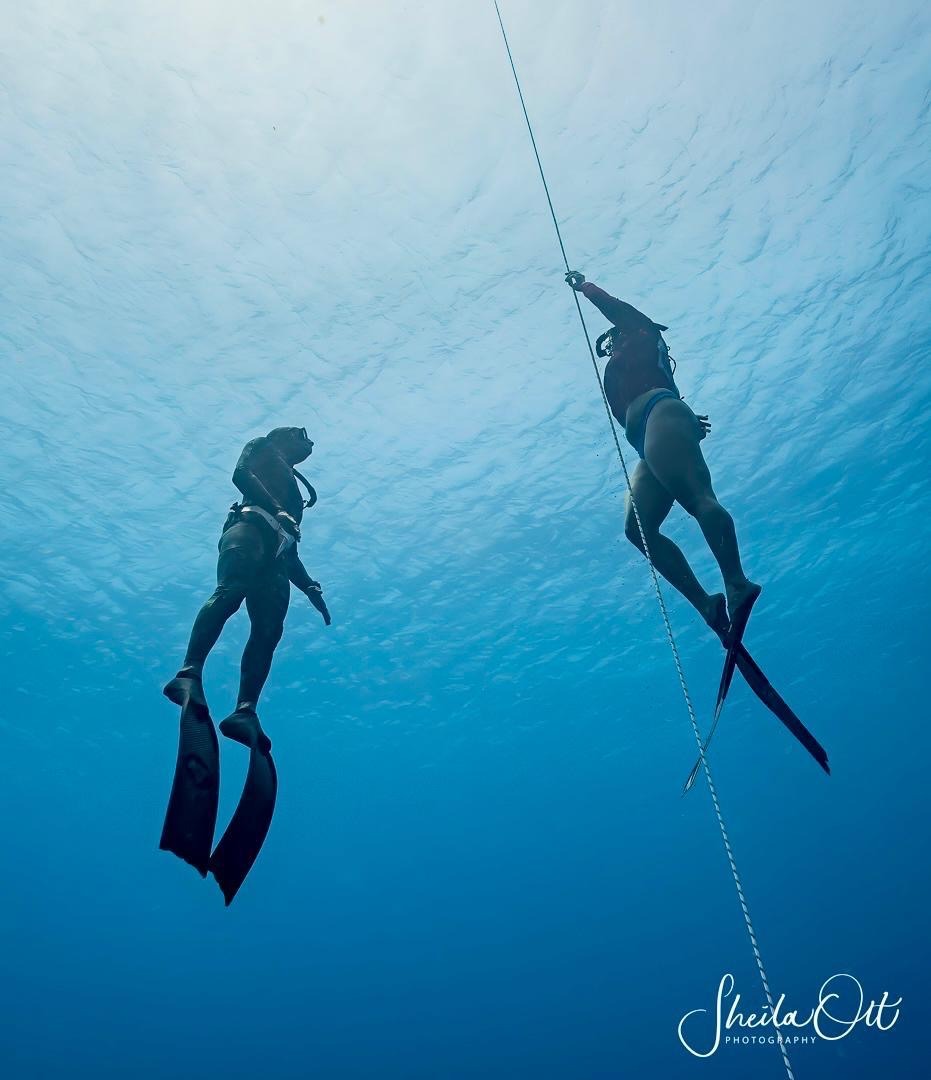 Freediving on Curacao