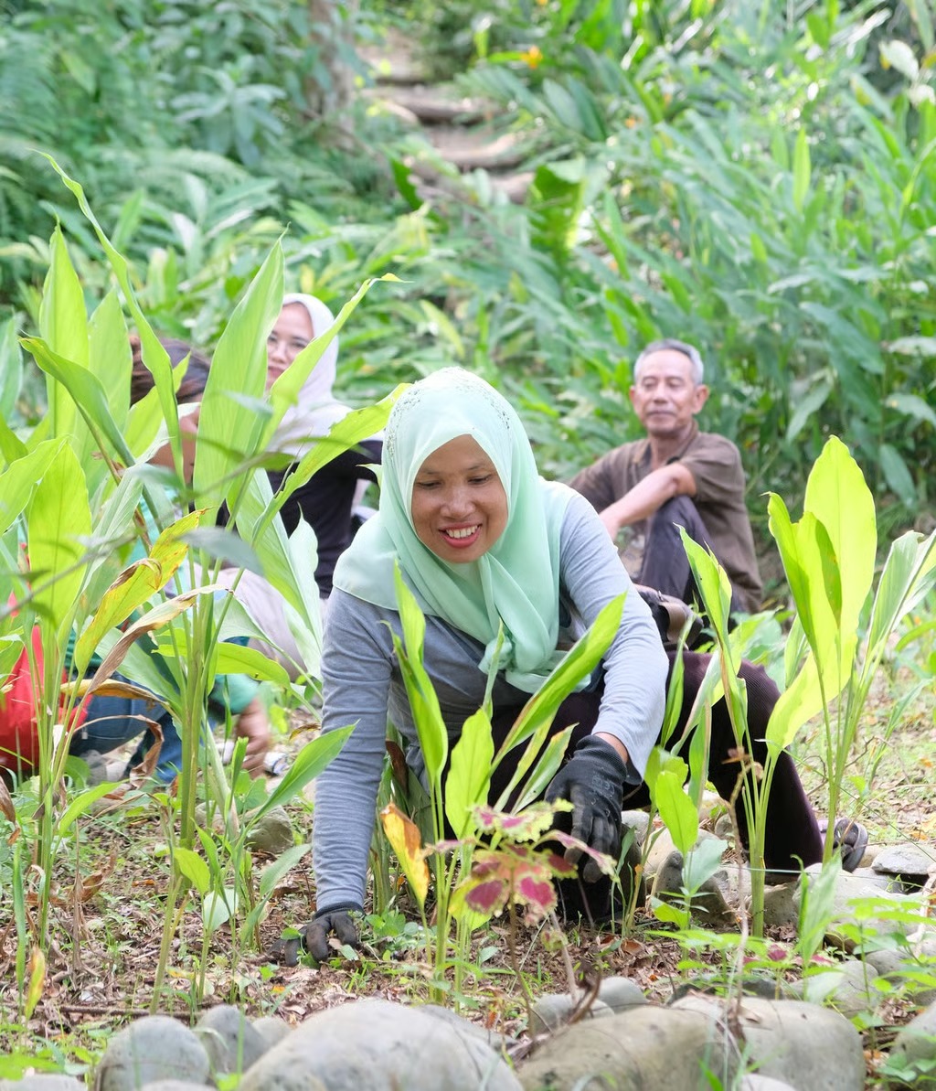 PROJECT WINGS SUMATRA