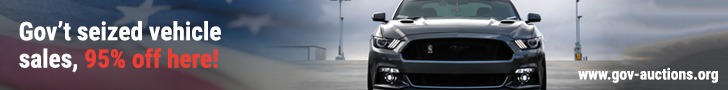govseizedcar