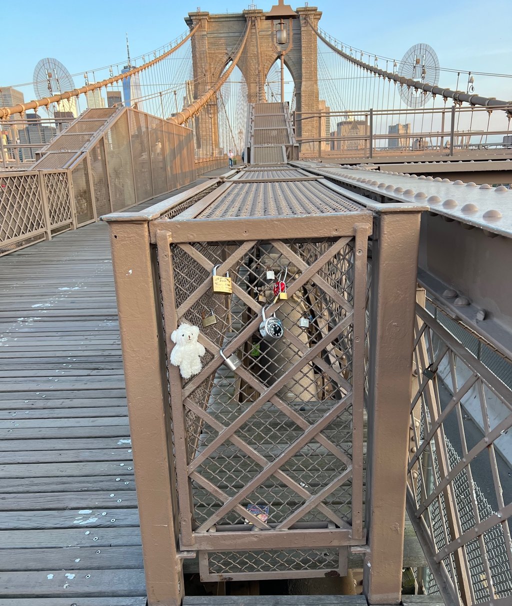 Caged on the Brooklyn Bridge
