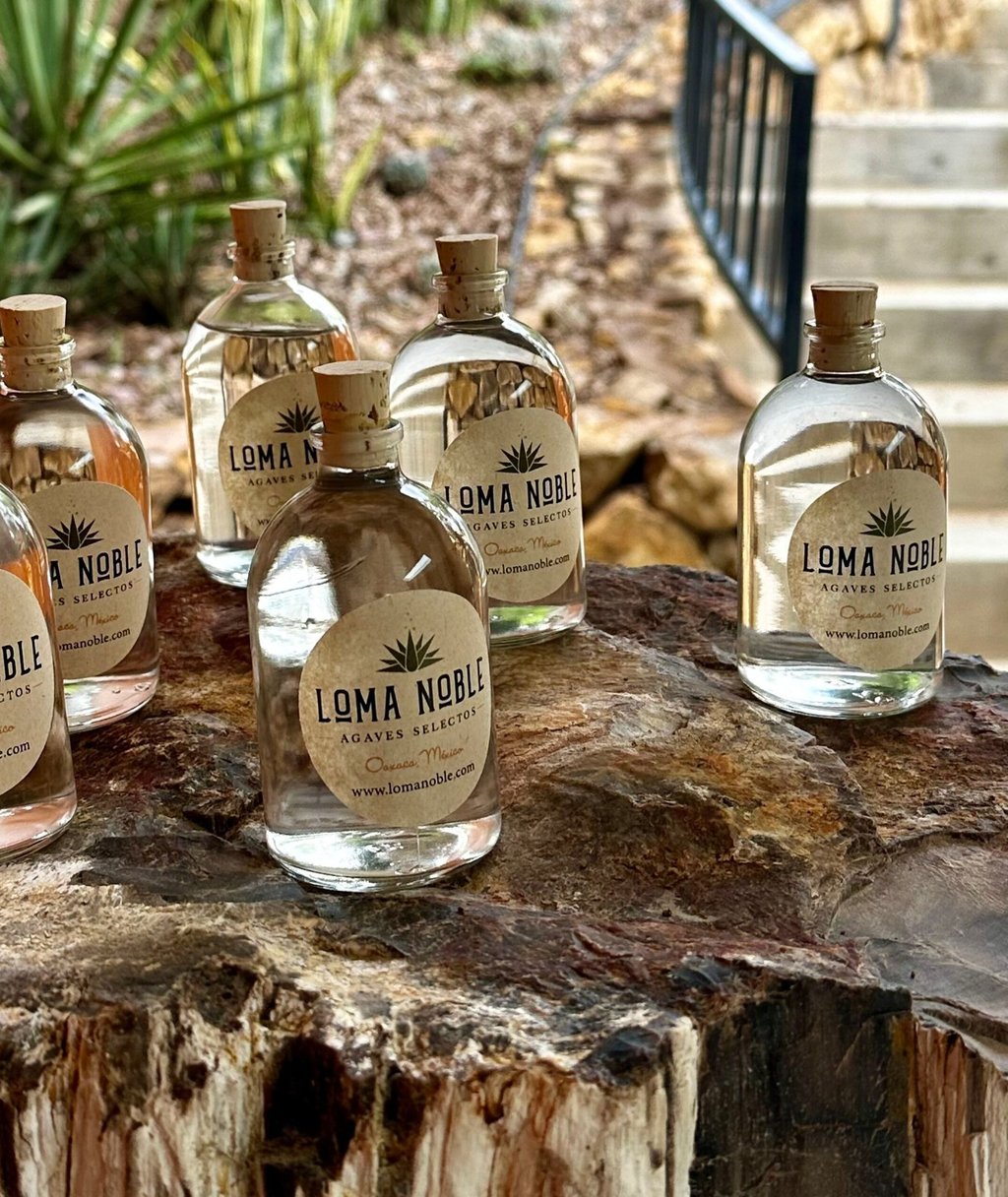 a group of bottles of liquor in a tree stump