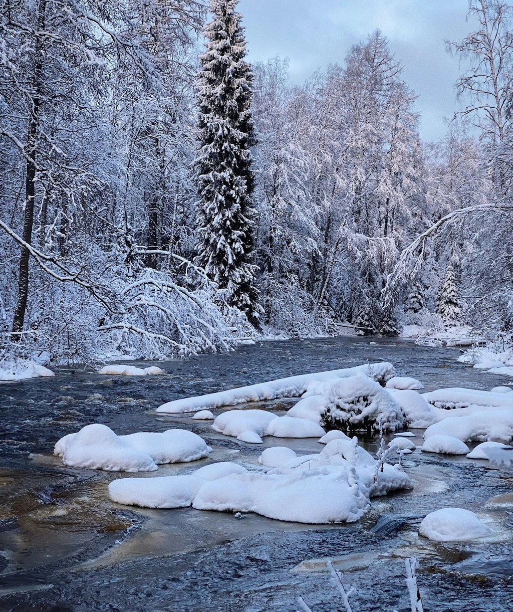 Frozen river in snowy forest, highlighting winter survival challenges and icy terrain awareness
