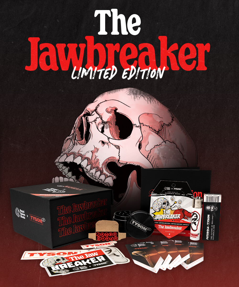 This is an ad for The Jawbreaker Cannabis Strain. 