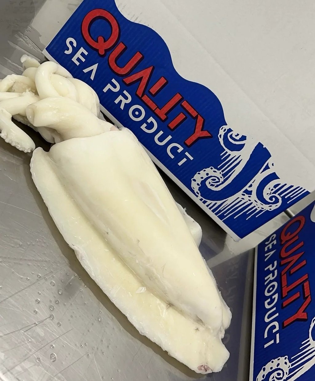 Frozen Cuttlefish selected and prepared for export by Quality Sea Products in Morocco