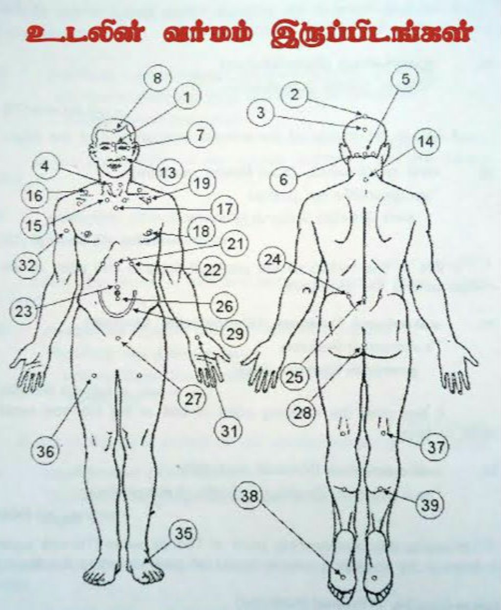 Vetrivel Health center best chiropractic and varamam theraphy 