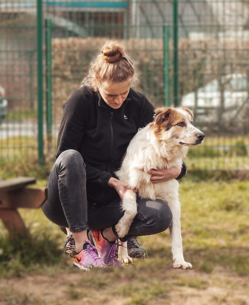 Ostéopathe pour animaux dans le Hainaut en Belgique