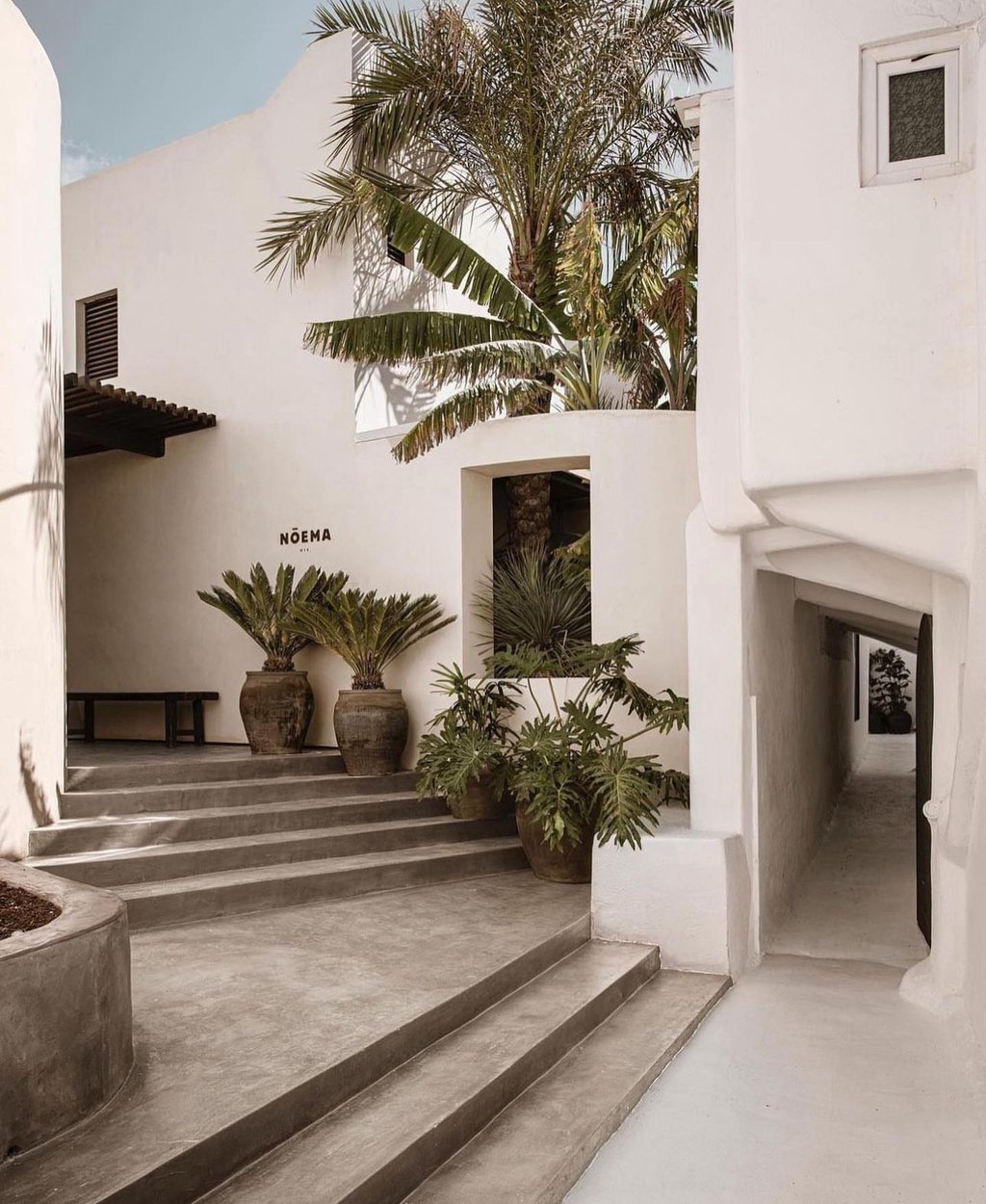 a building with a bunch of potted plants in it