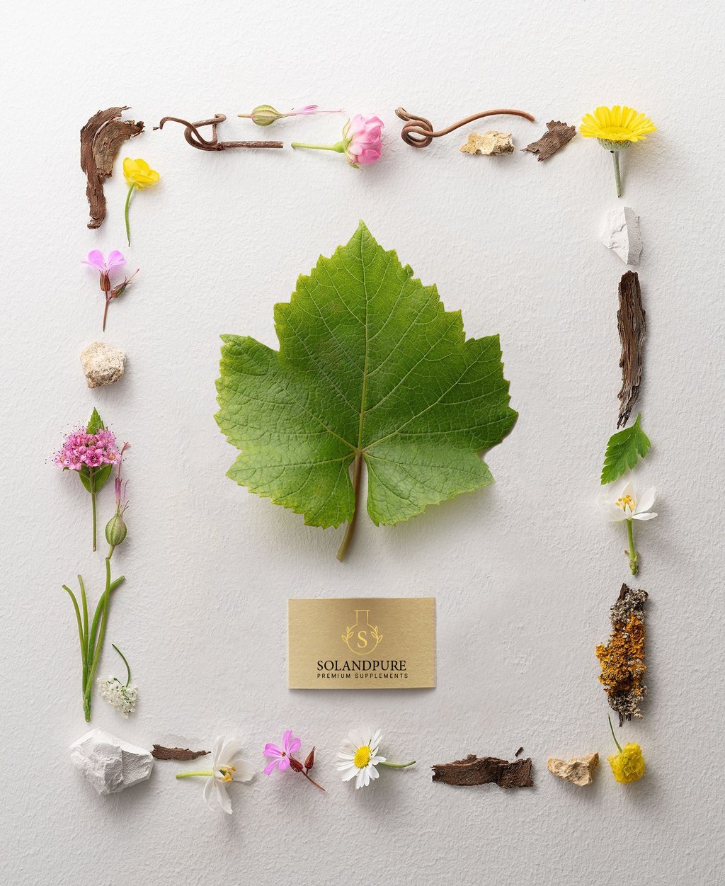 El arte de la belleza eterna