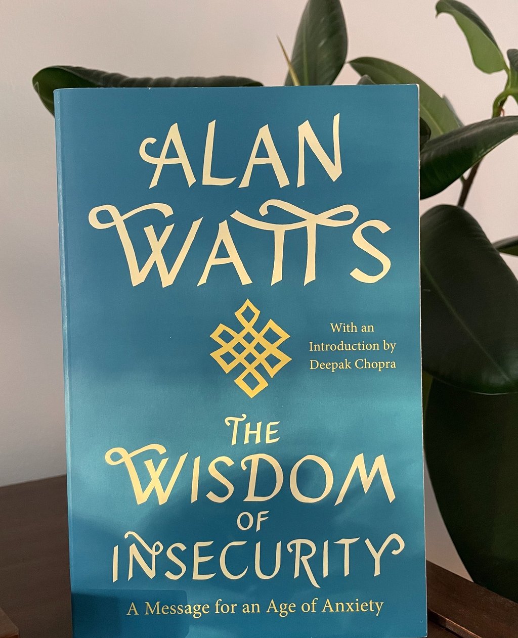 a book cover of the wisdom of insecurity