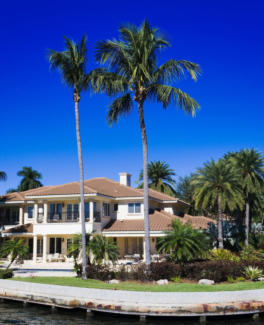 waterfront home with palm trees