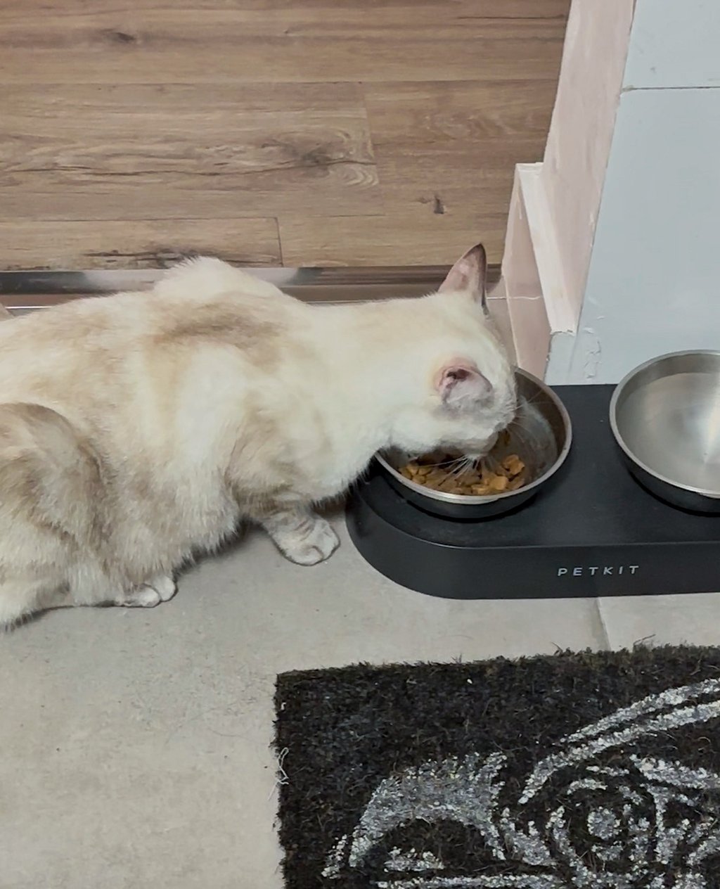 PETKIT CYBERTAIL Cuenco Elevado e Inclinado de Acero Inoxidable Antideslizante