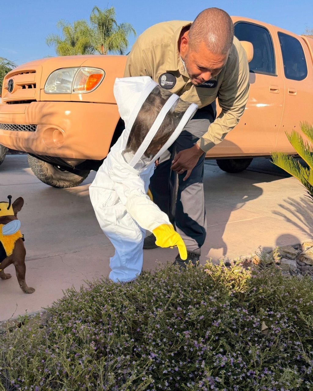 Family and pet friendly pest control service in Menifee, CA Footprint Pest Management - child education