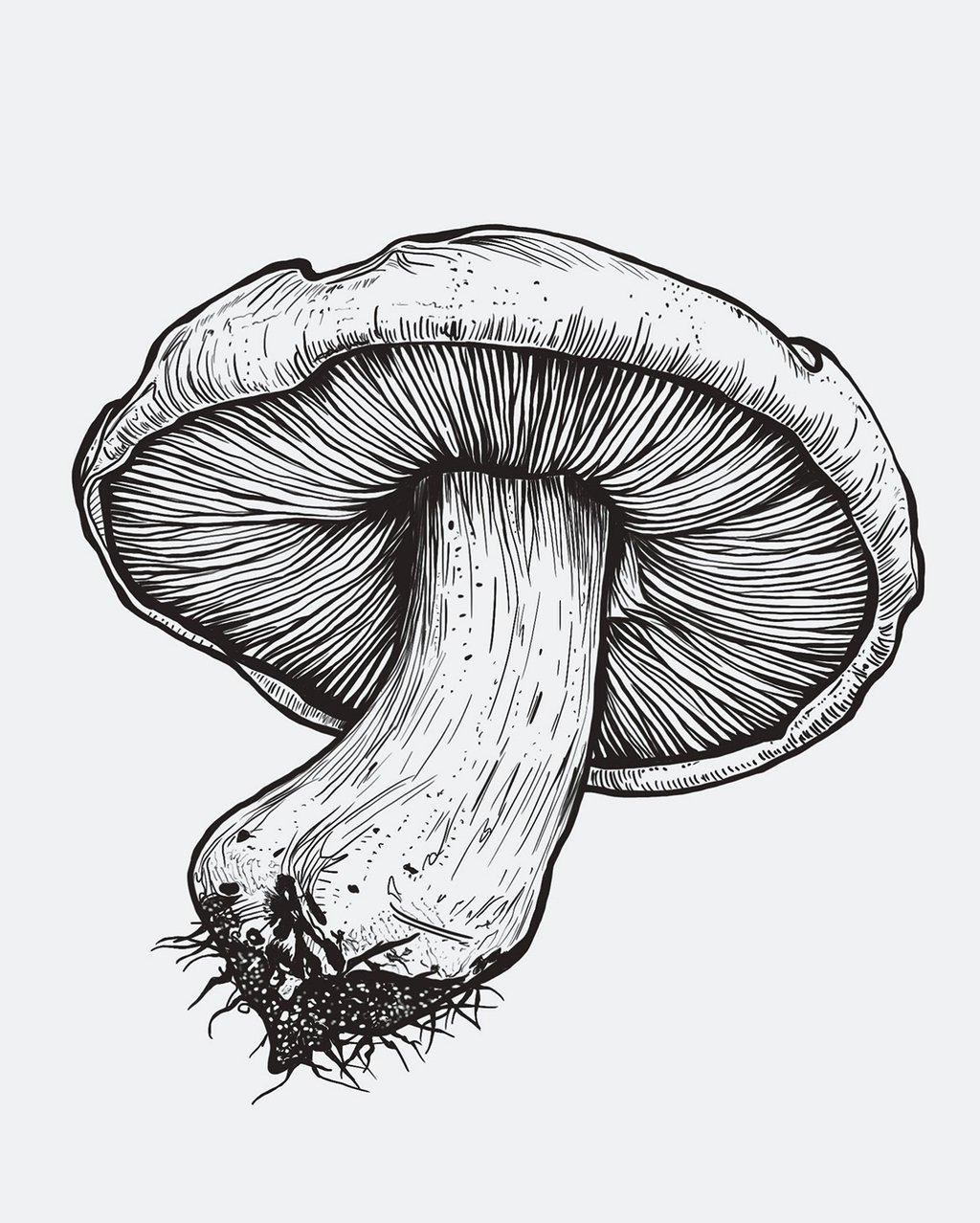 Black Pencil Mushroom by Sezer Ali, 2024