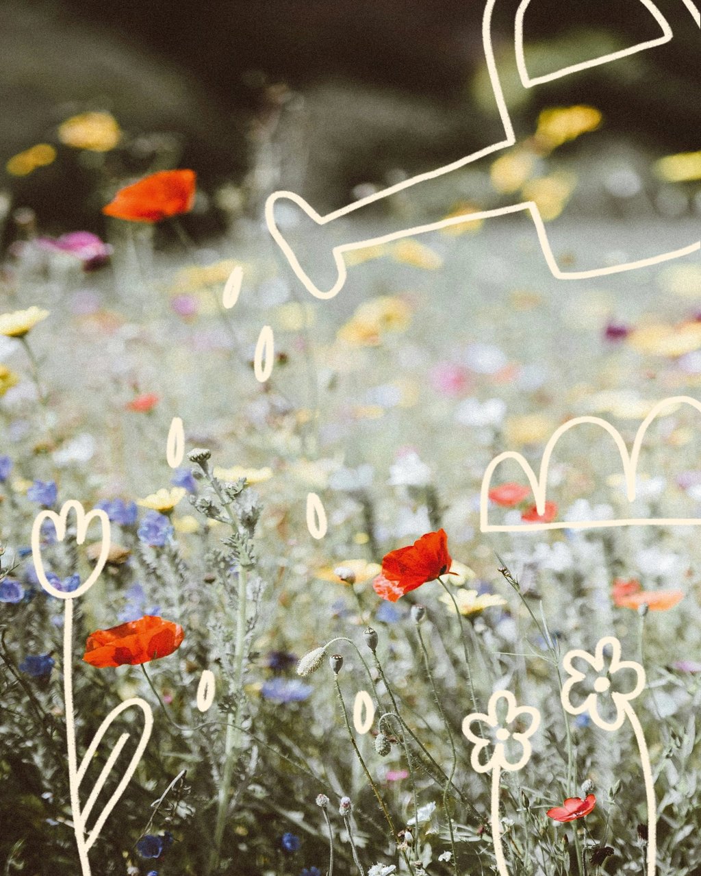 Illustration für Social-Media-Beitrag