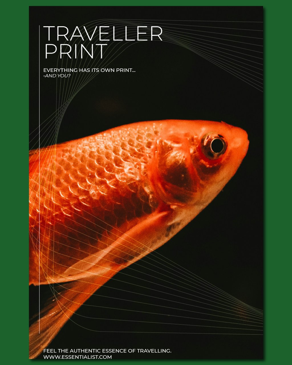 Traveller Print poster featuring a close-up of a goldfish with artistic white line overlays.