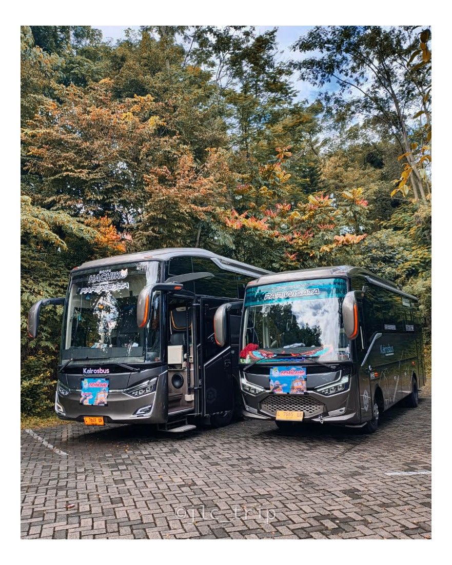 harga bus