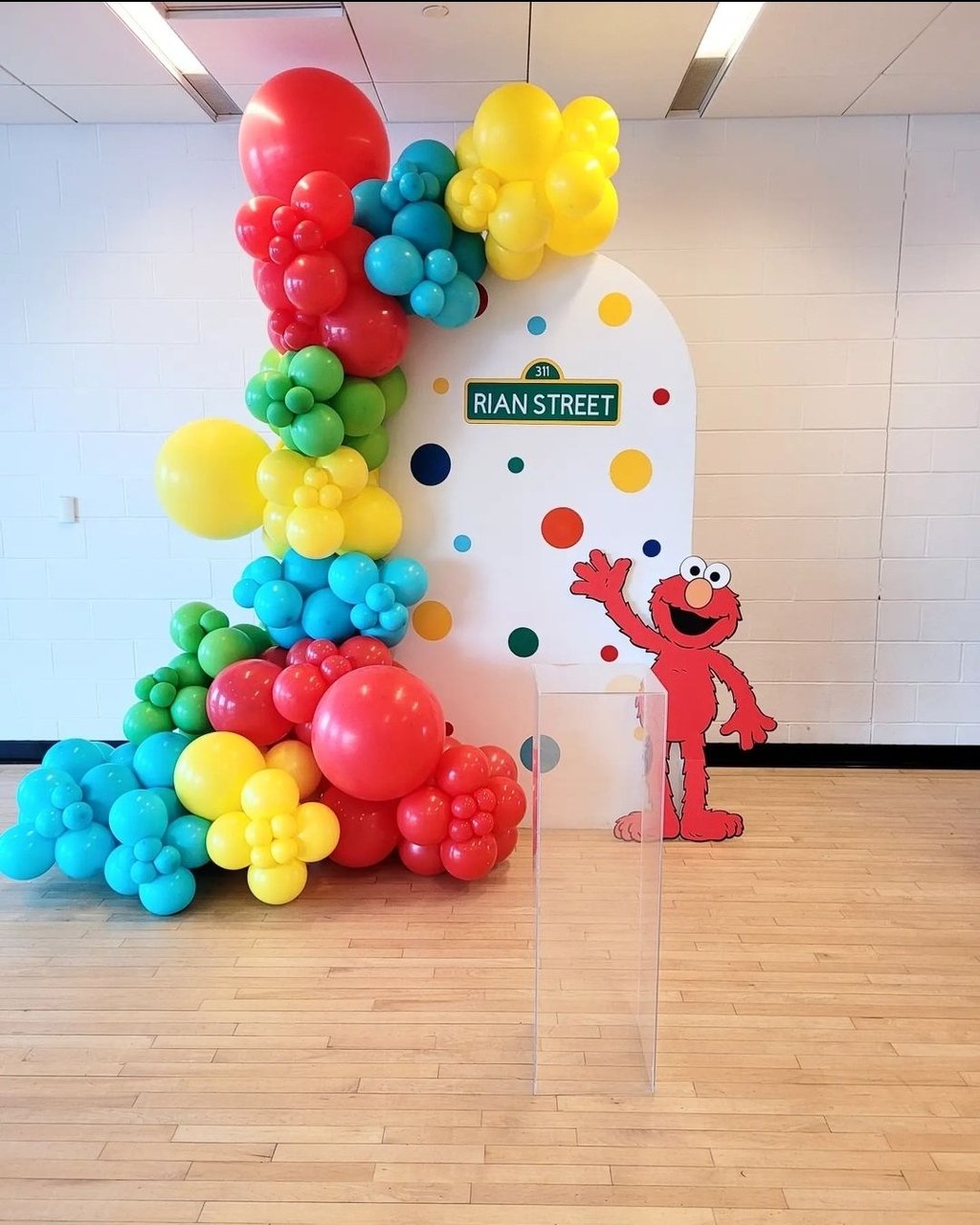 Sesame street themed balloon backdrop rental