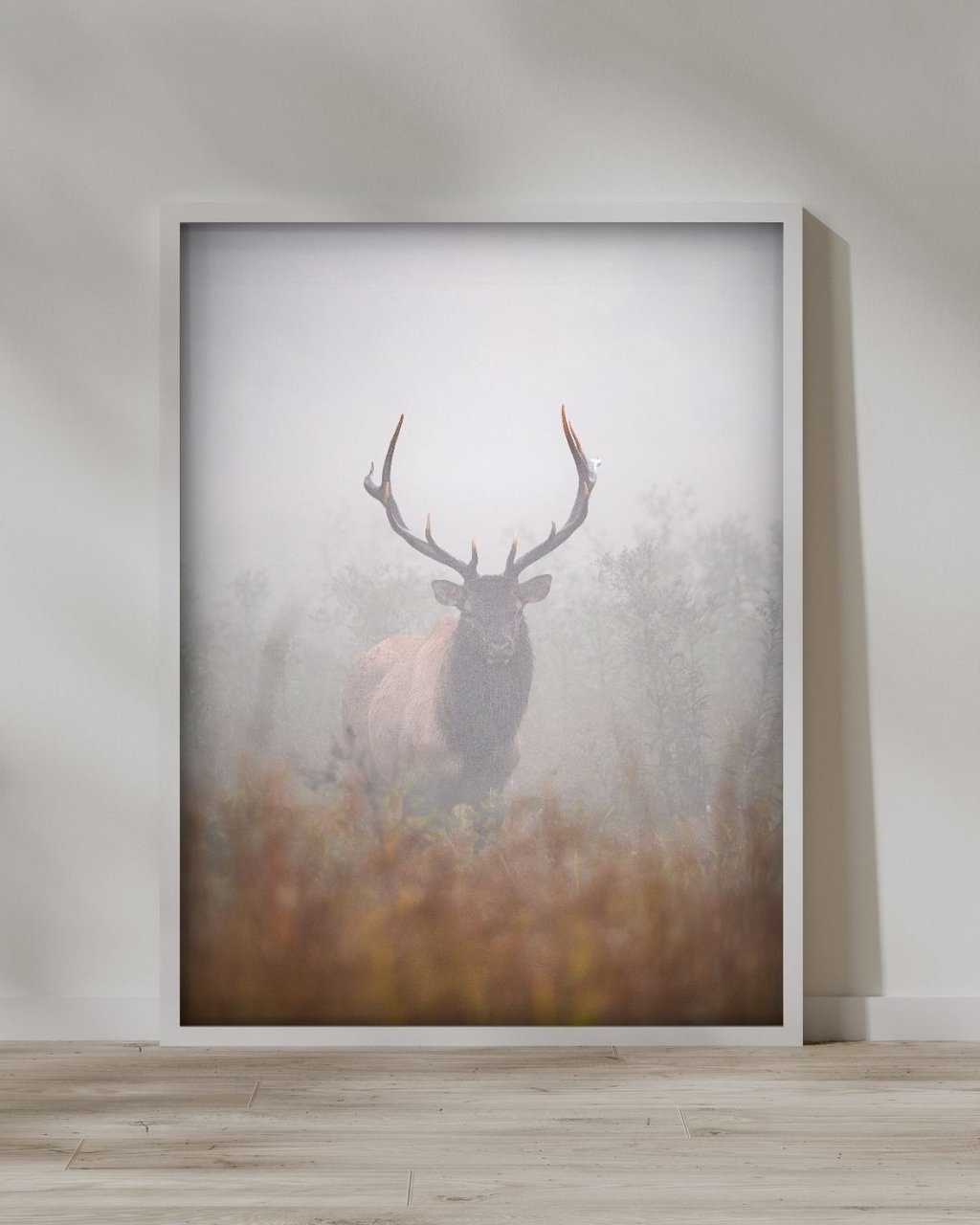 Framed print from Nate Bowery Photography of an elk in the Great Smoky Mountains of North Carolina