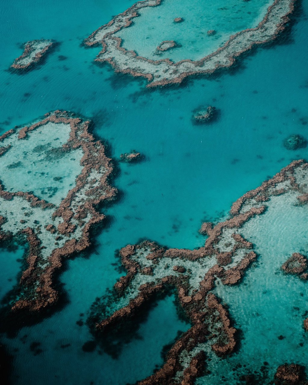 Australie Barrière de Corail - Studio Fauvve 