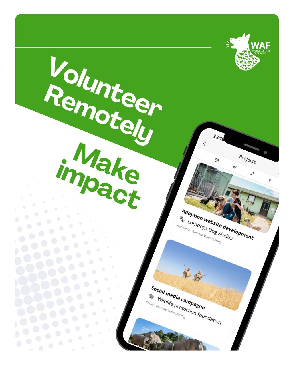 Volunteer remotely project image