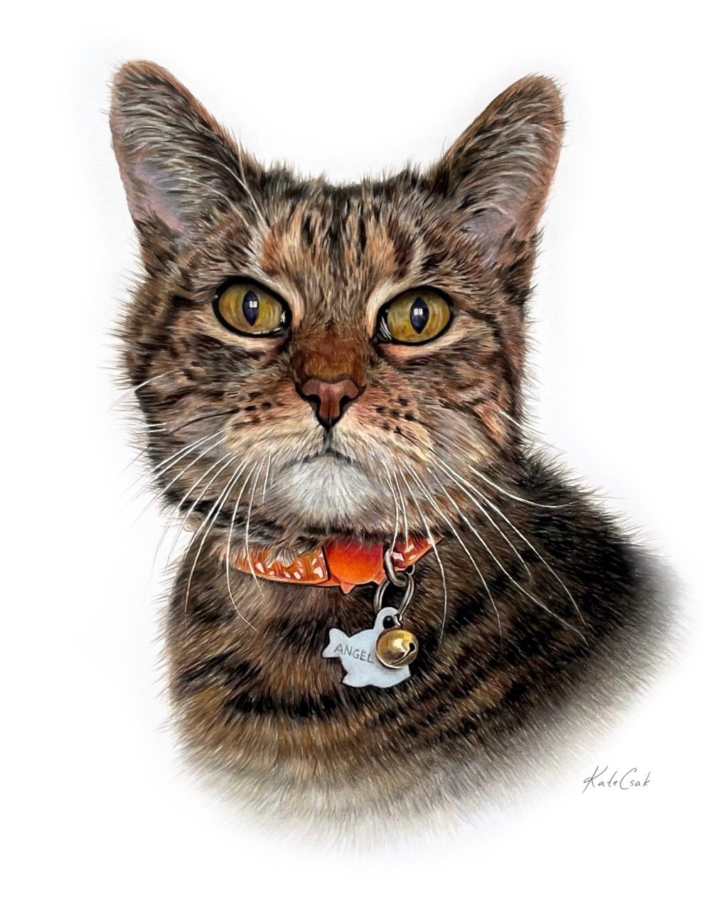 Detailed colored pencil pet portrait of a brown tabby cat named Angel with an orange collar.