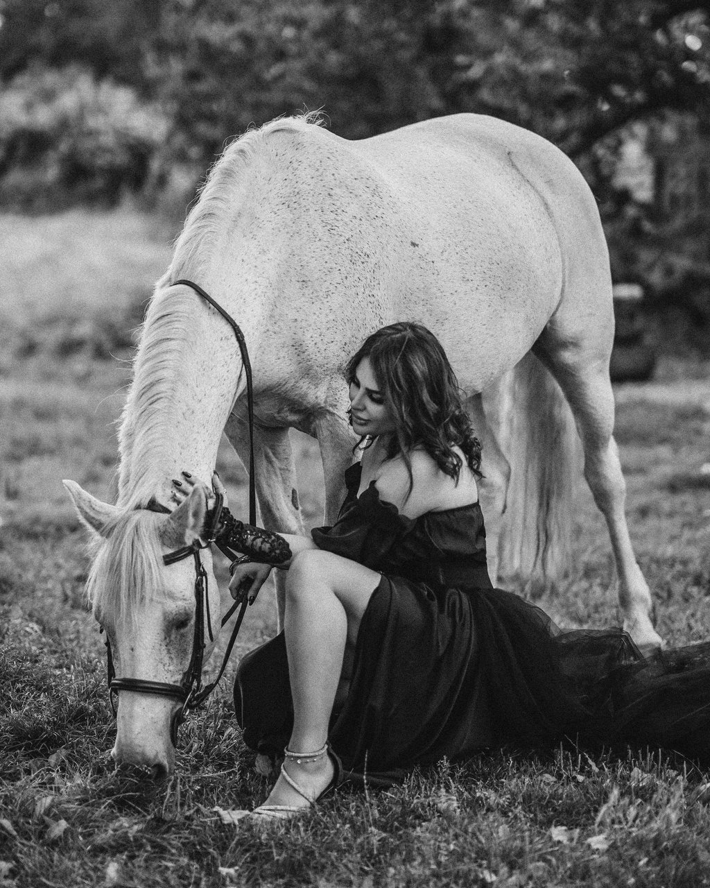 Artistic black and white photo with white horse – Fred Art Studio birthday session