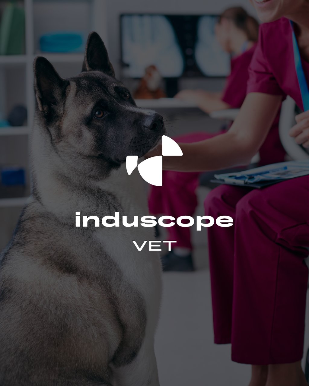 Identité visuelle pour Induscope VET, endoscopes vétérinaires