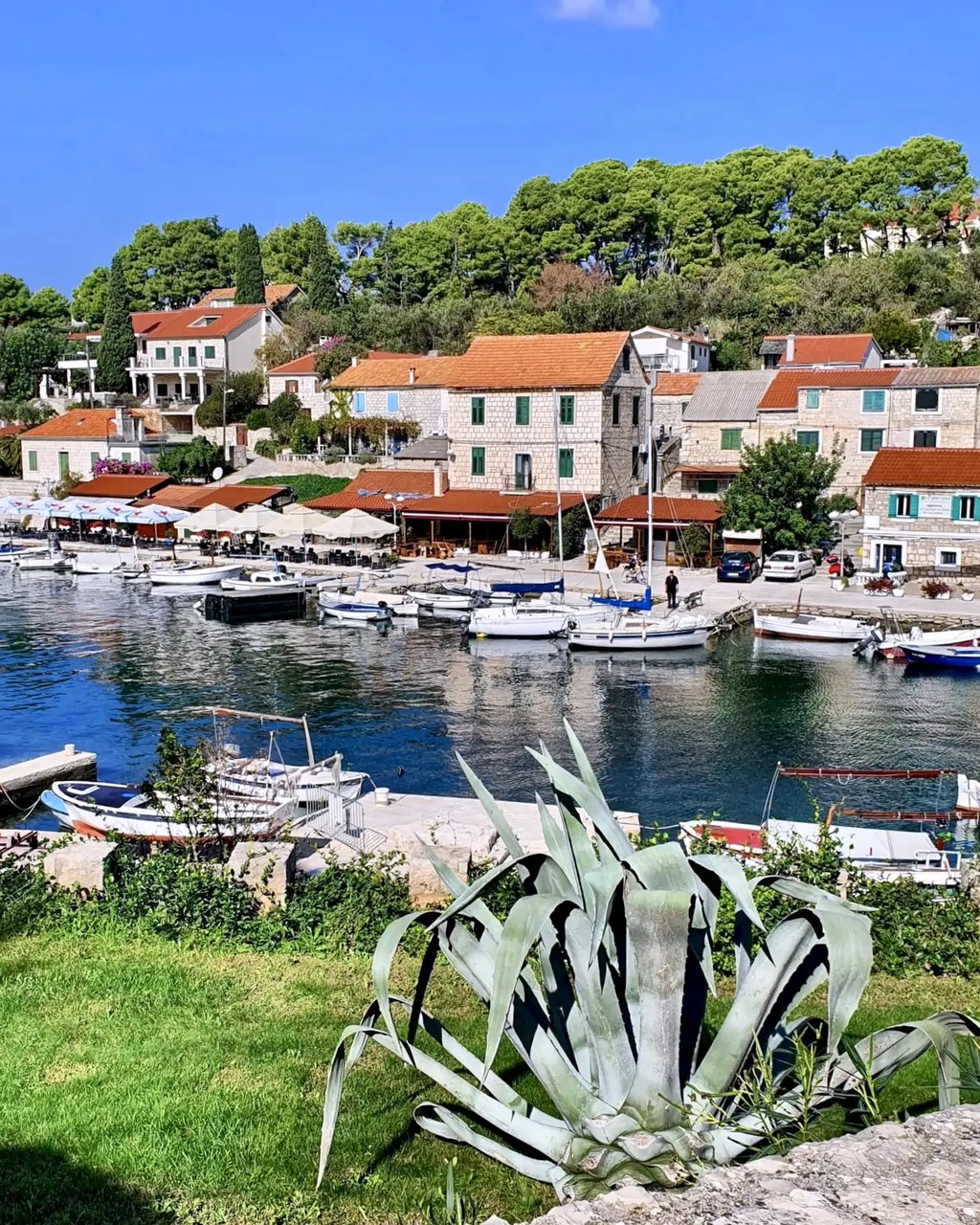 Panoramic view of traditional Dalmatian village of Maslinica, Solta during a SunMarine private boat tour from Split, Croatia.