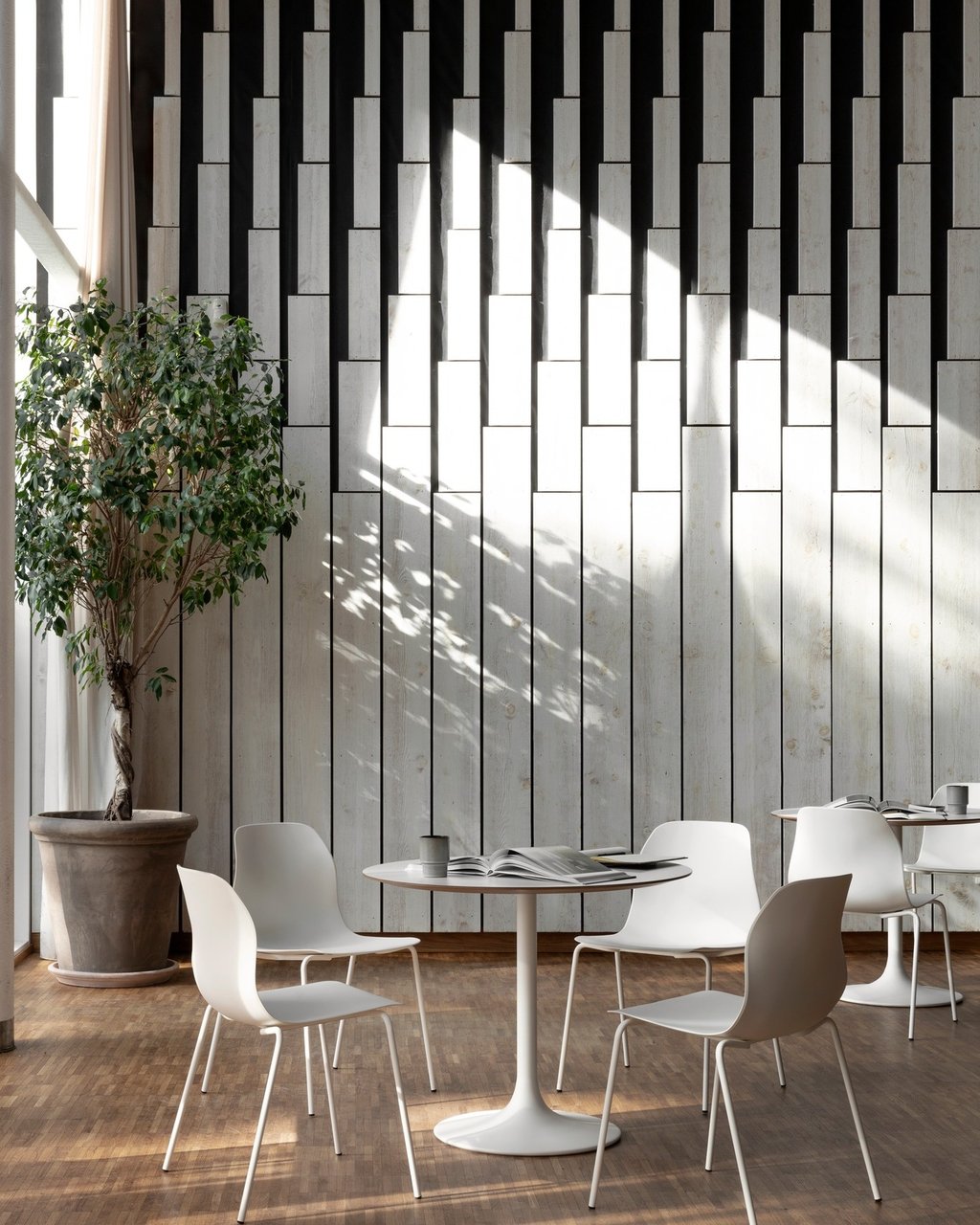 isformuotos valgomojo kedes