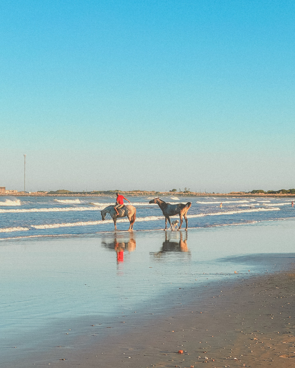 Horses on the beach in Uruguay