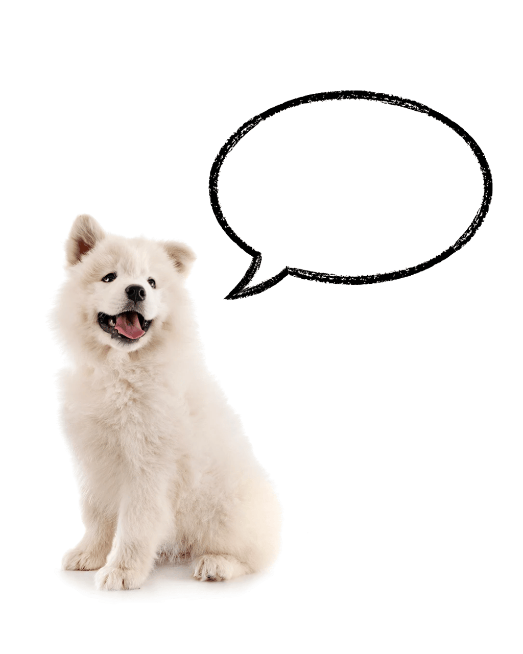 White husky with a talking bubble