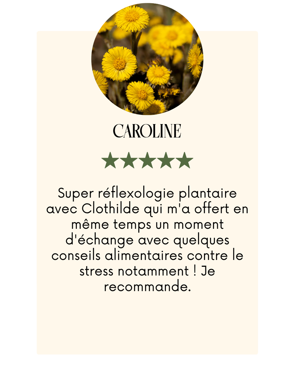 conseils phytothérapie herboristerie charleroi bien être ateliers créatifs