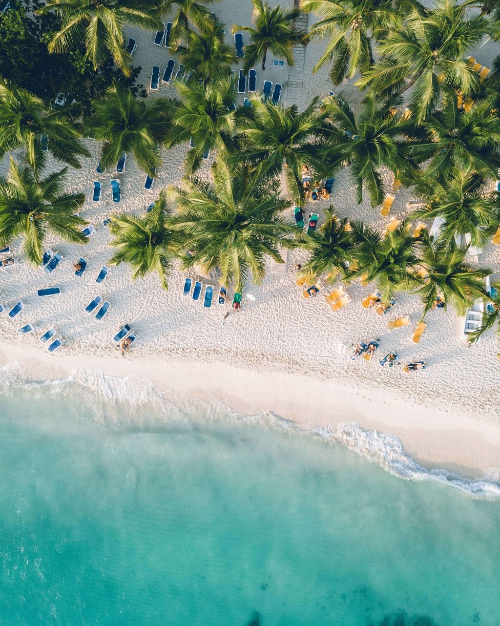View of beach, ocean waves and palm trees from above