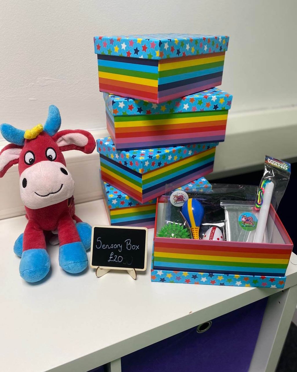 A picture of sensory boxes in the Moo room, with the price stating £20.