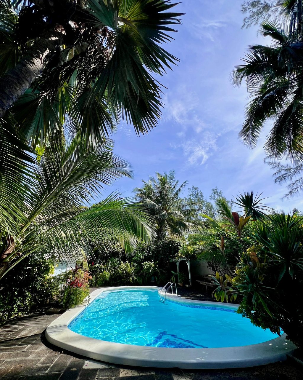 hidden backyard with a pool and bushes
