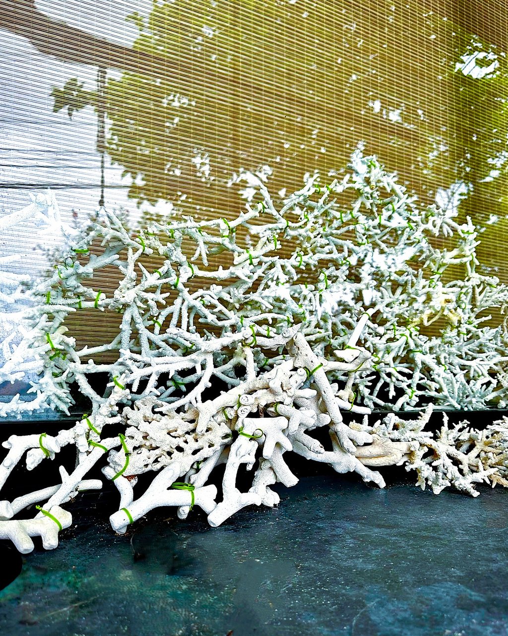 Found objects and sound piece setup in ikebana performance-installation, PF25 cultural projects