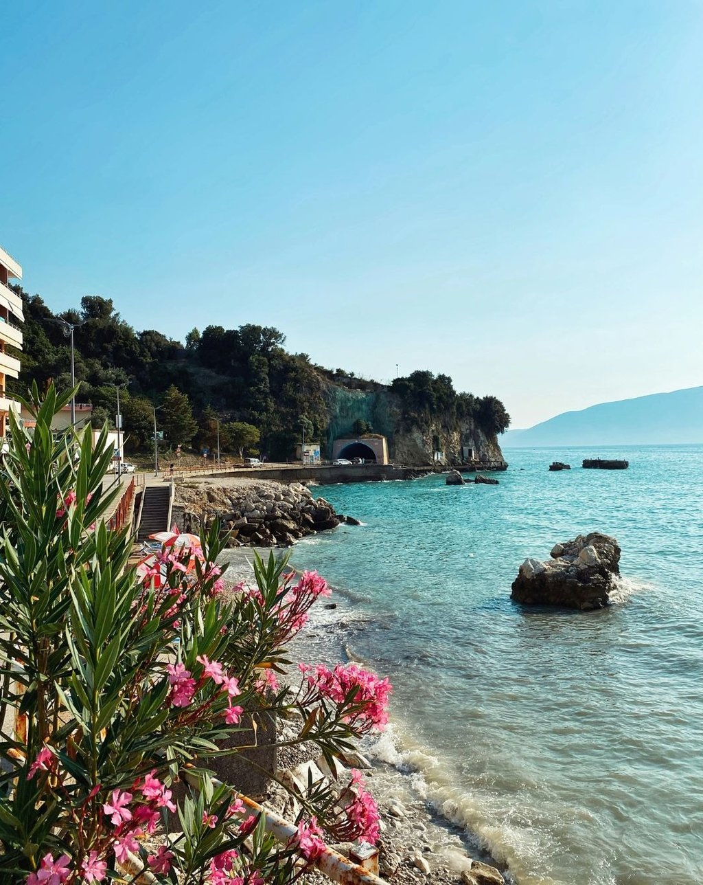 Pink flowers growing on the coast line of Albania