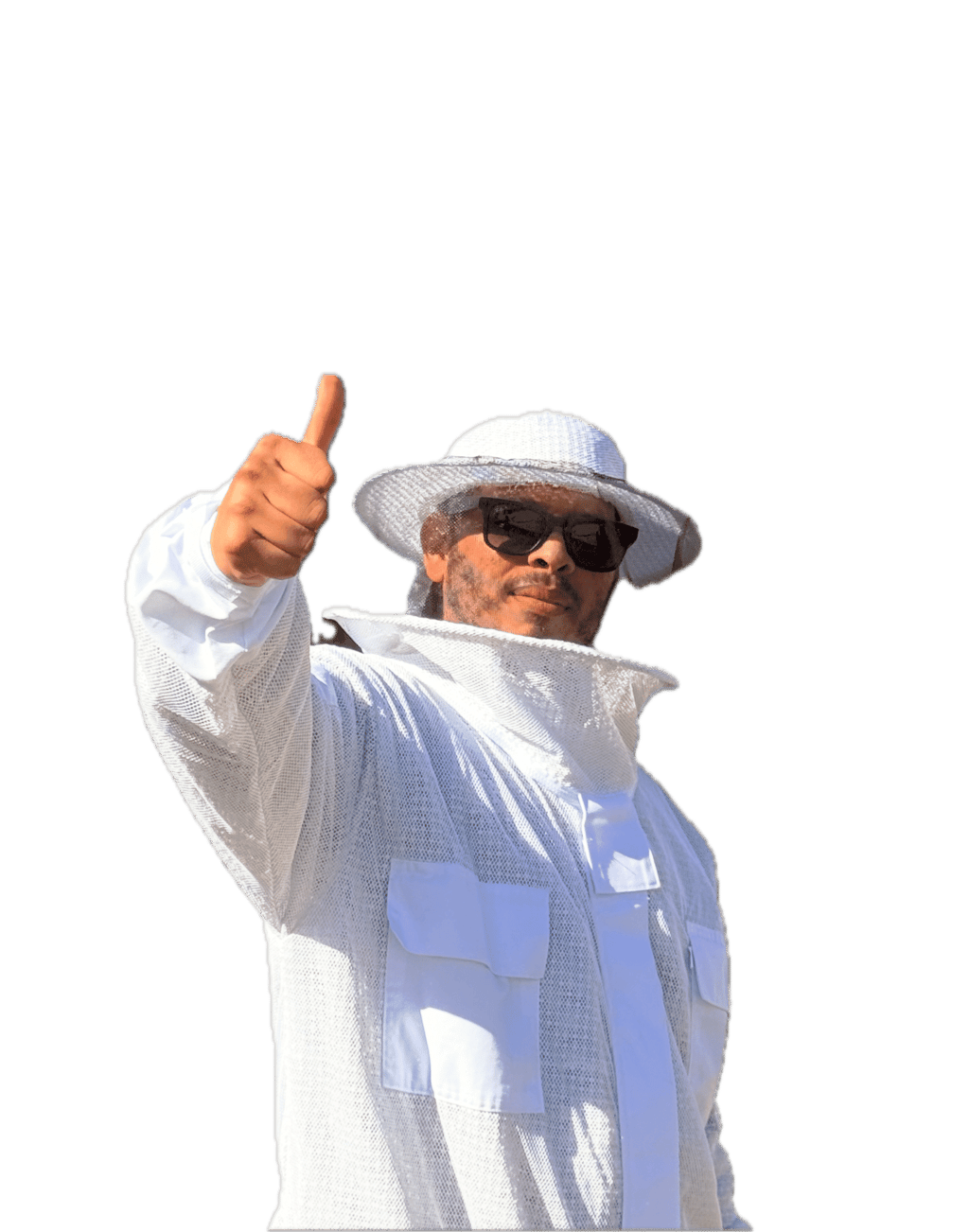 Professional bee service in Menifee, CA Footprint Pest Management