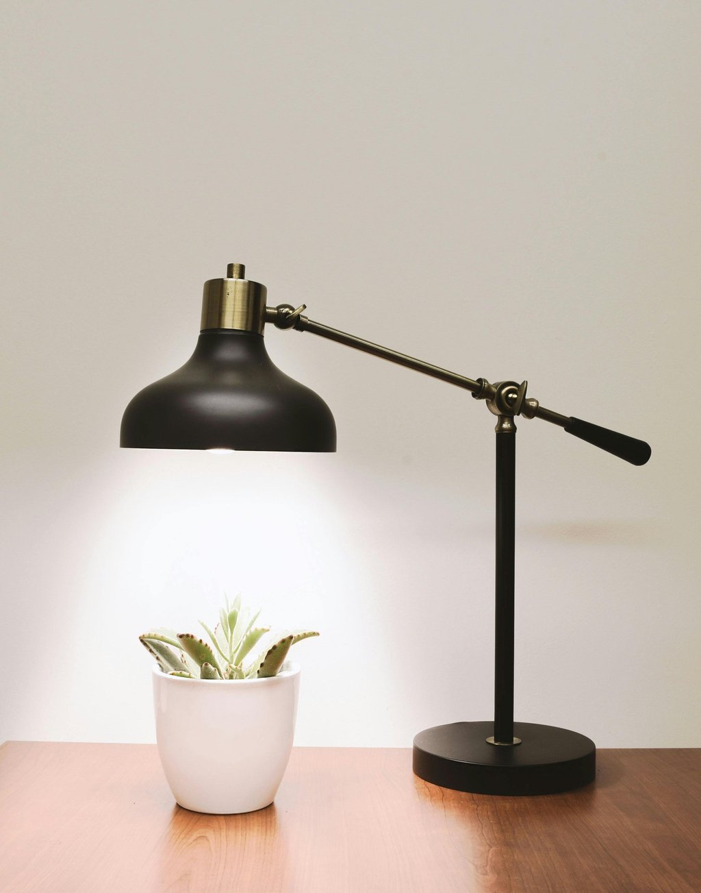 A Lamp shining on a plant 