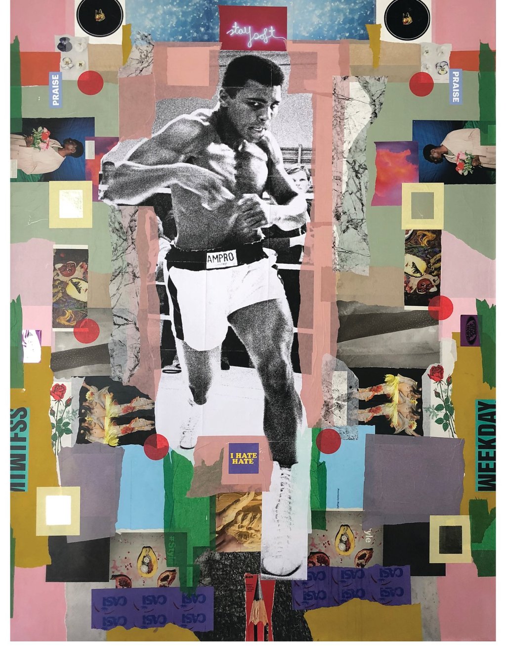Muhammed Ali Collage