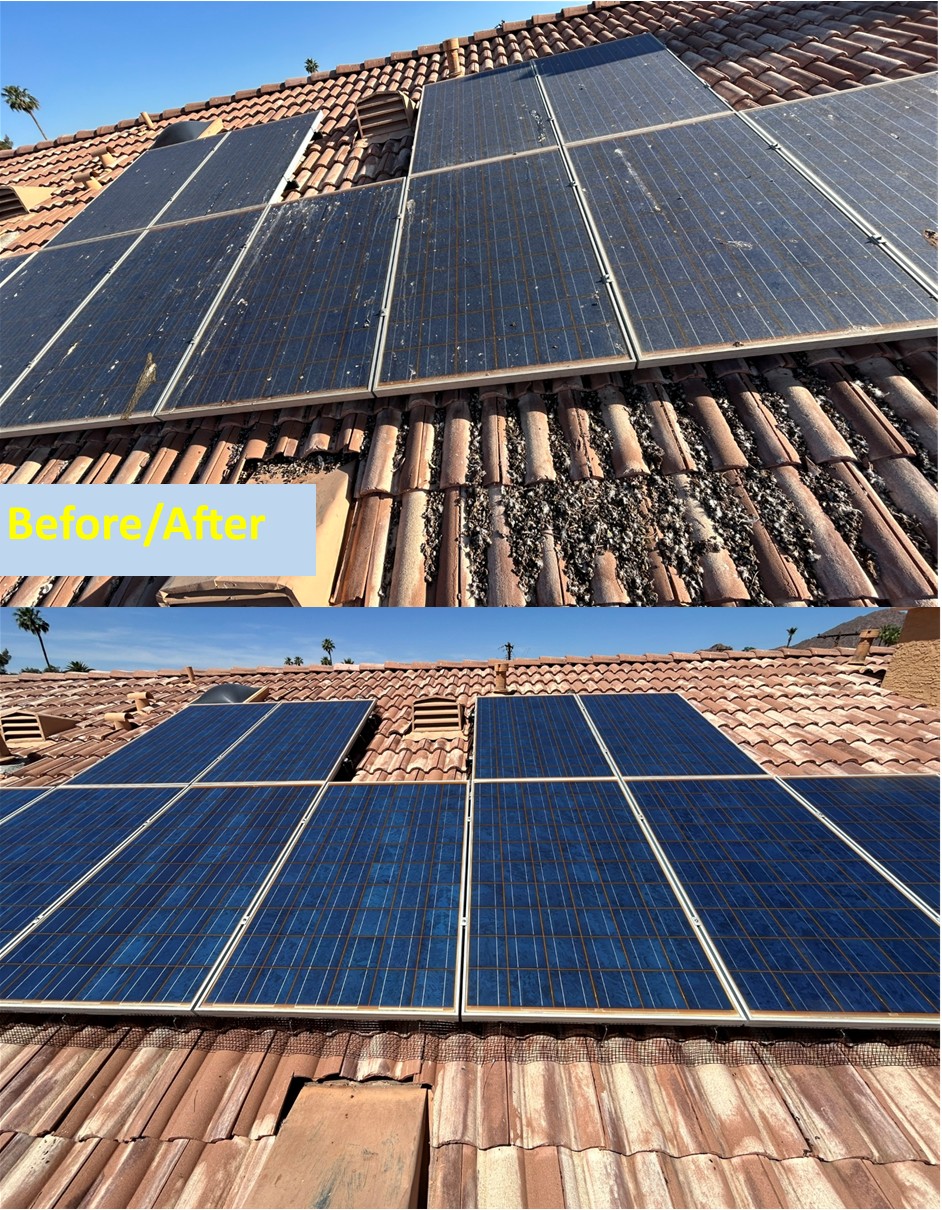 Solar panel bird proof mesh install phoenix before and after