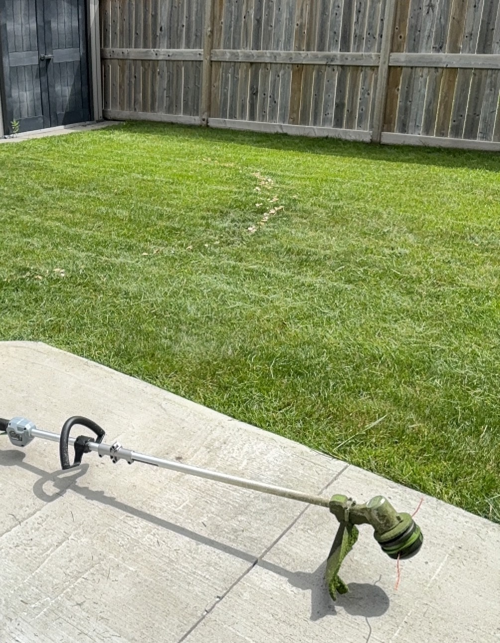 MacLawns Freshly Mowed Lawn in New Brighton Calgary