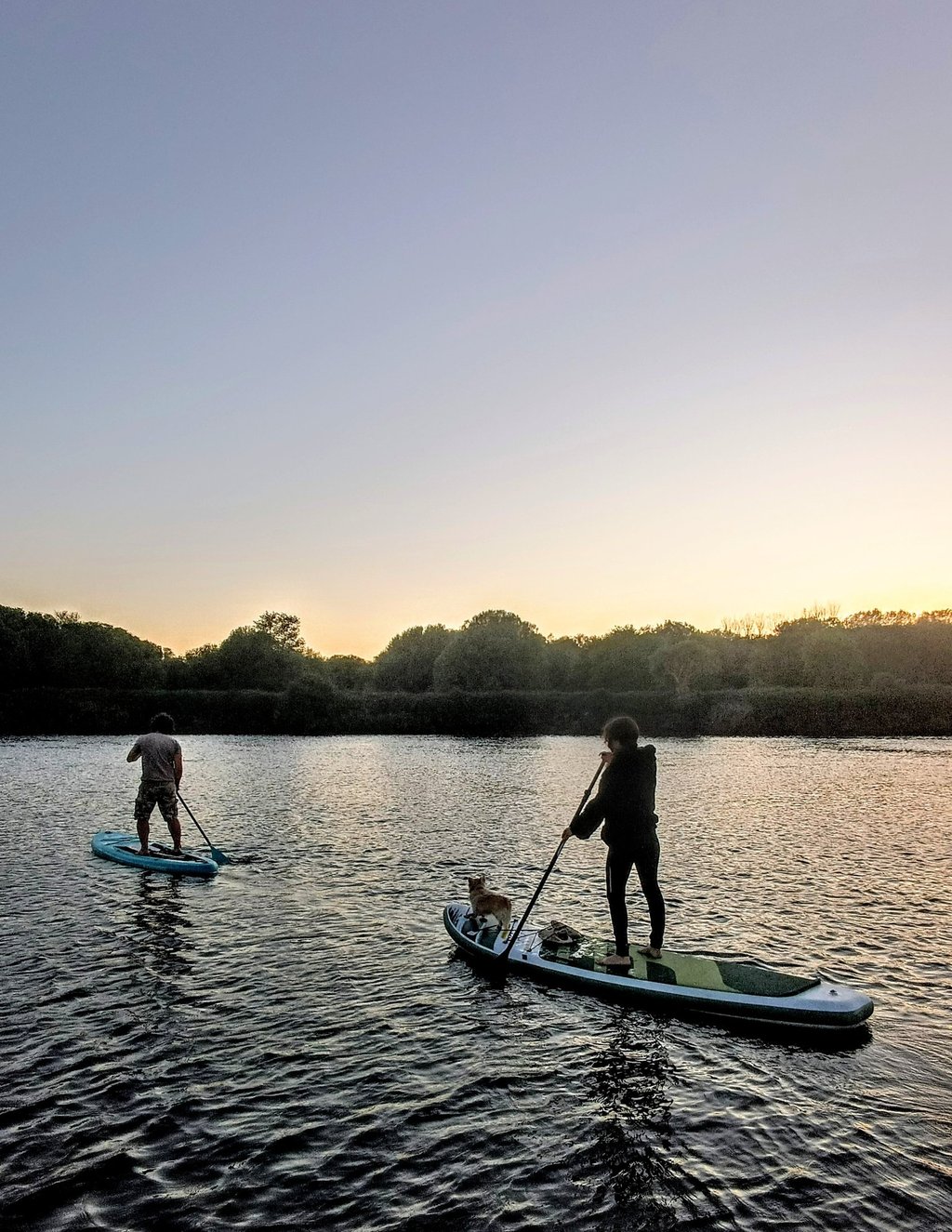 peregrinos haciendo paddle surf por el Río Ulla en el Camino de Santiago