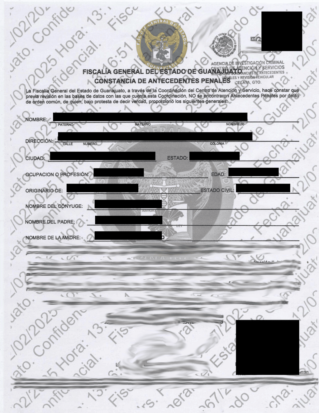 Official police character certificate translated by Lang Lumin services