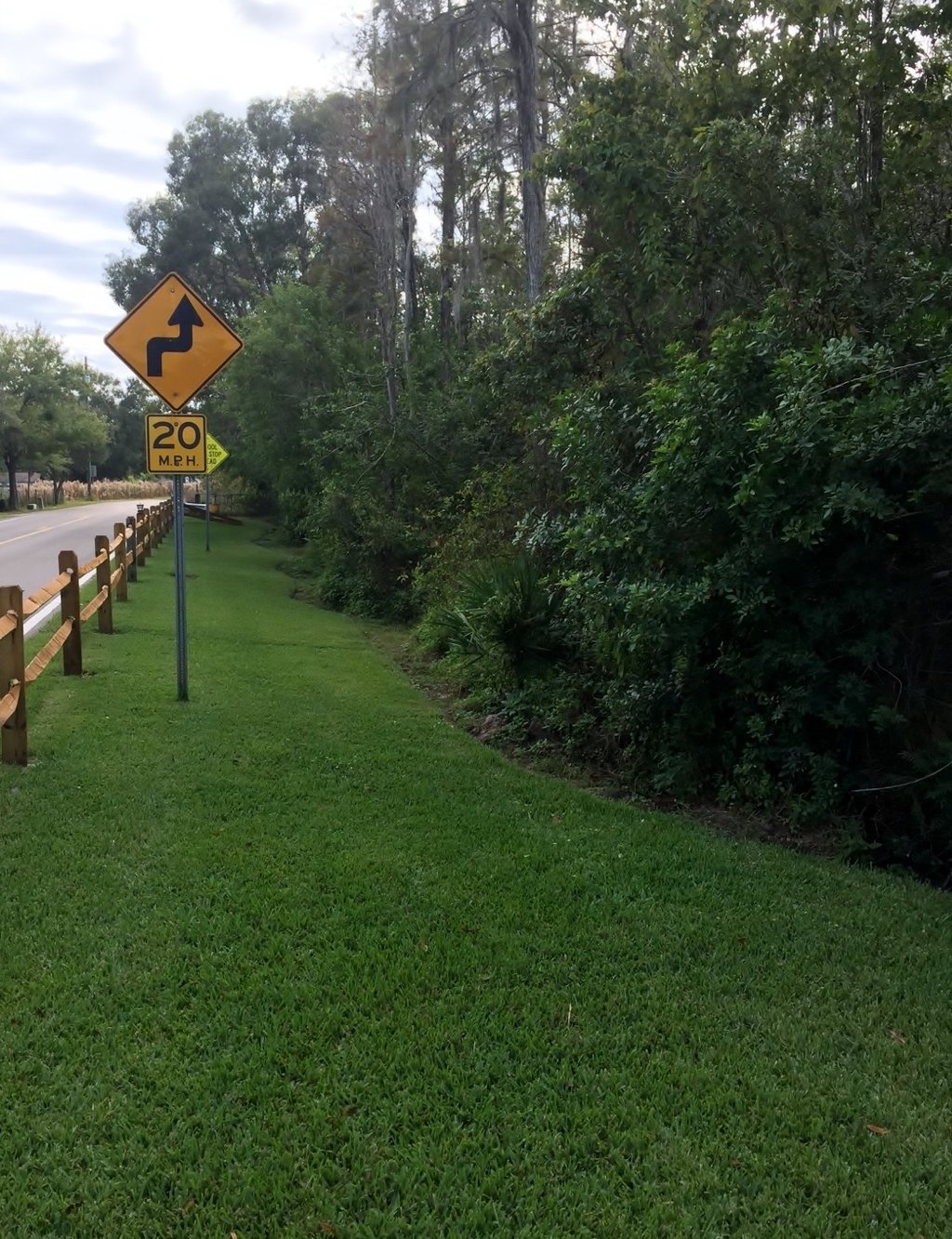 a bunch of trees on both sides of a paved road