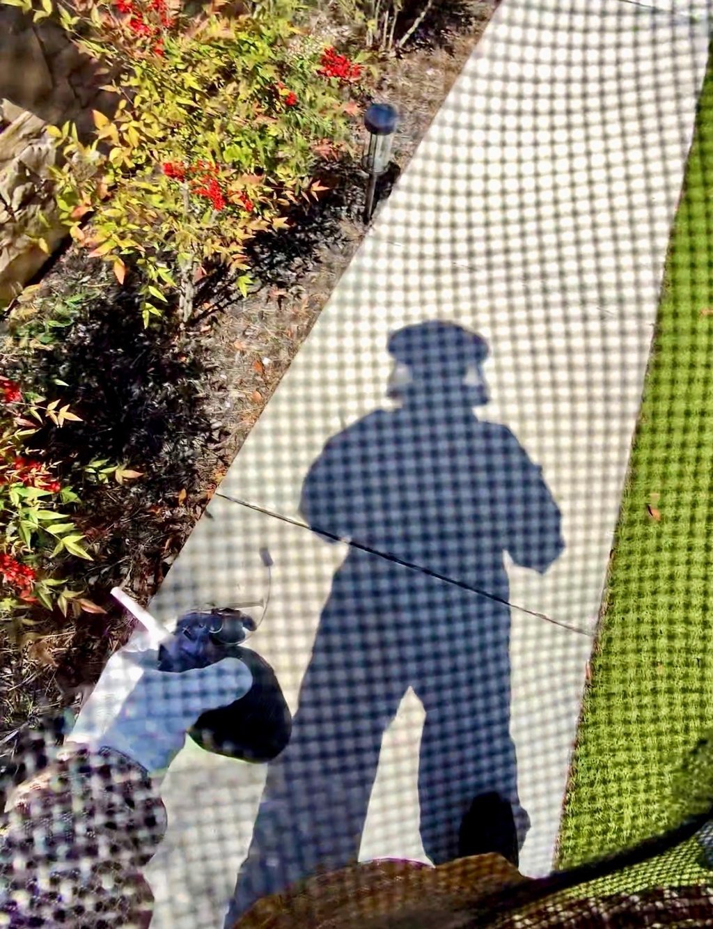 Bee treatment service in Menifee CA, Footprint Pest Management