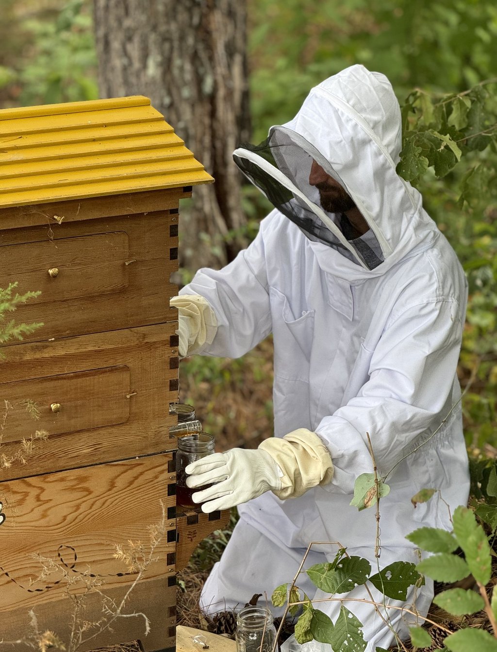 Beekeeping Hoodies and Jackets: Comfort, Protection, and Style in the Apiary
