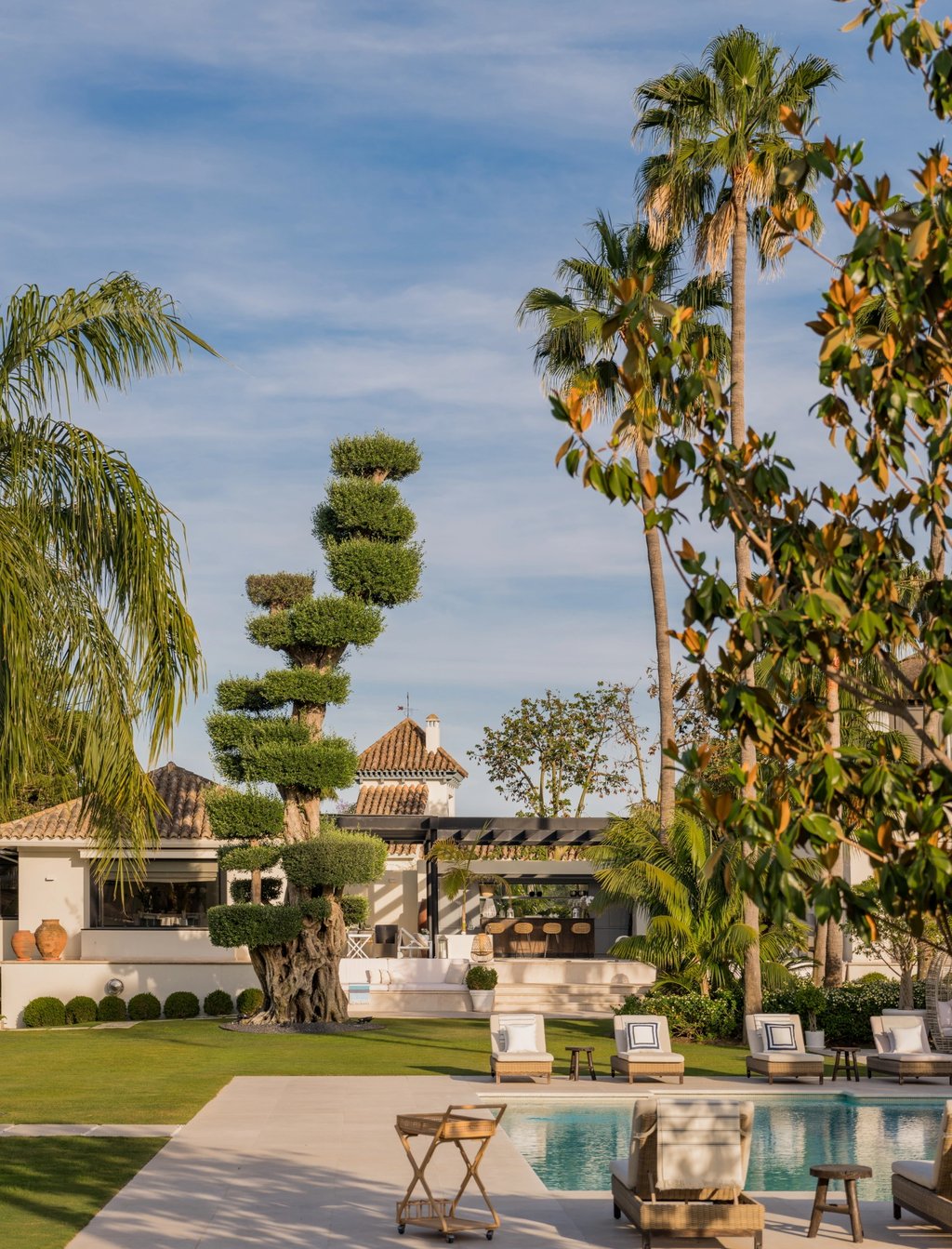 Luxury villa backyard with swimming pool, sculpted bonsai tree, and palm trees under a clear blue sky.