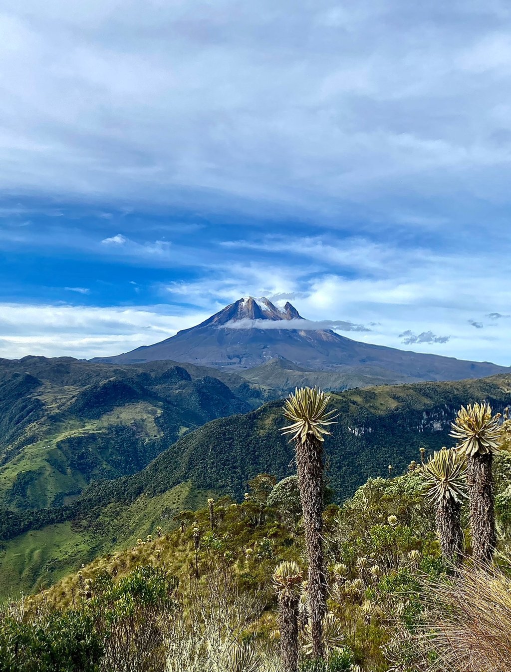 Caminata en altura con vista al Nevado del Tolima desde el paramo de Anzoátegui
